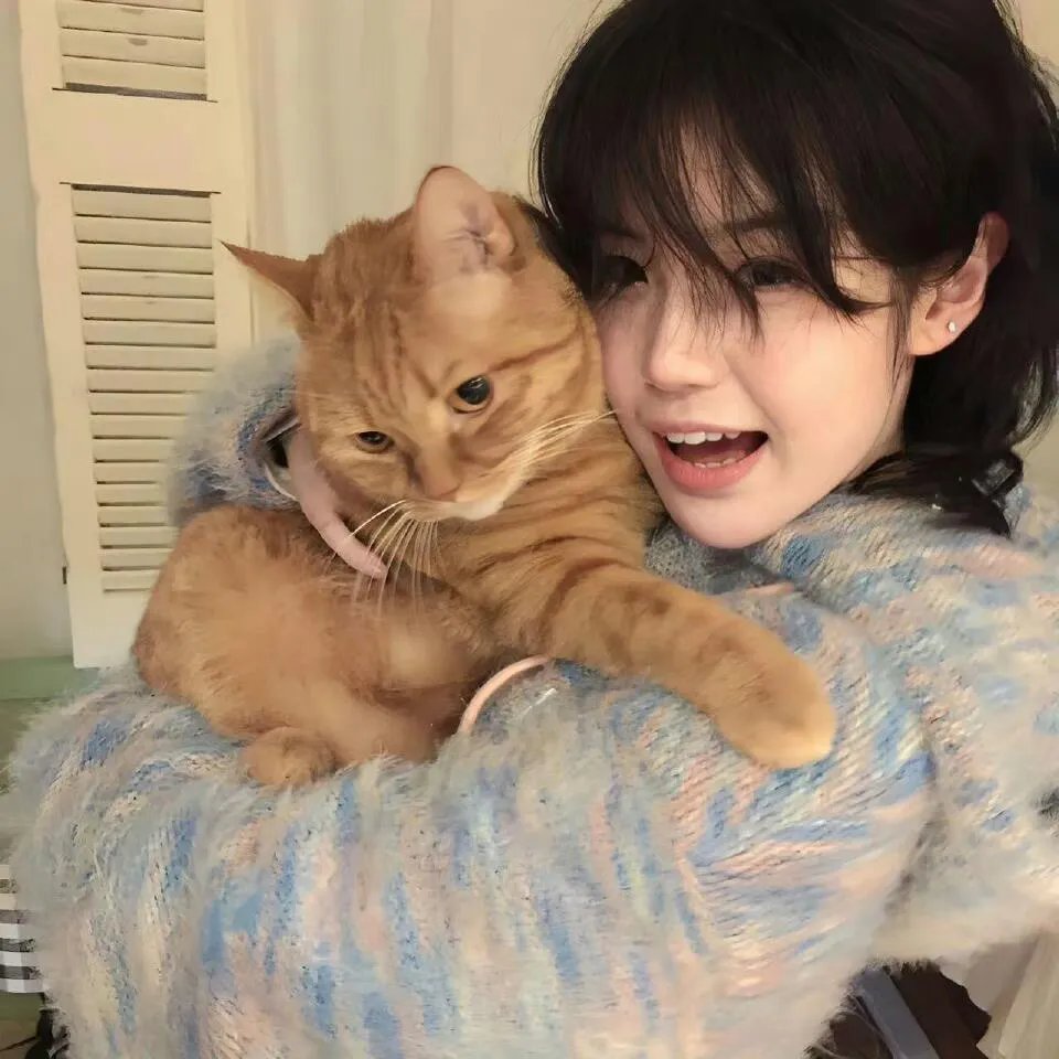 银魂剧场版：新译红樱篇